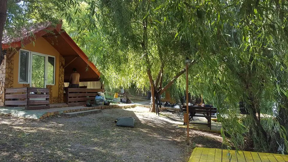 14117939_929760103796642_3144828988939795613_n