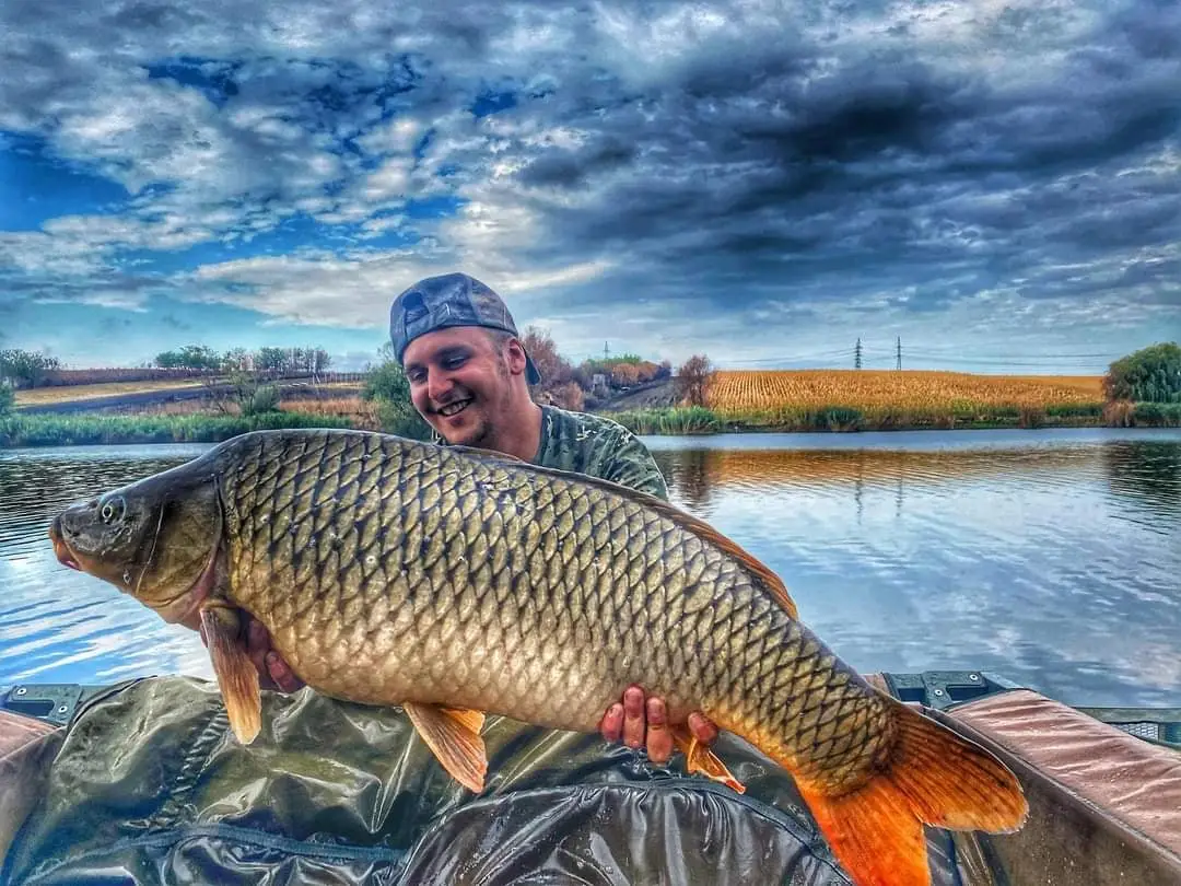 Lansetă îndoită în timpul unei capturi